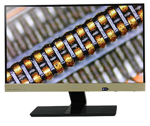 BM3自动聚焦广角显微镜