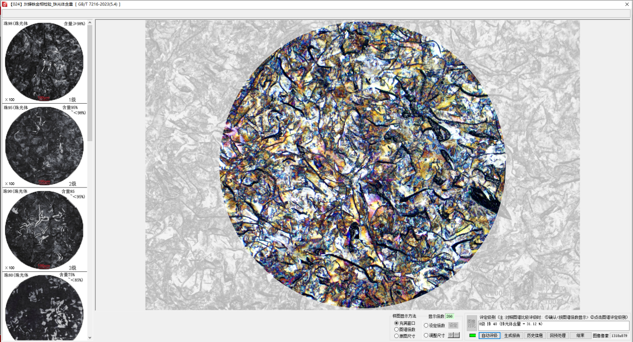珠光体含量检测过程2.png